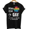 Irish LGBT Kiss me i'm gay or irish or drunk or whatever T shirt