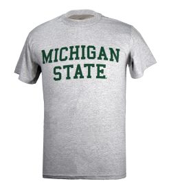 Gray Michigan State T shirt