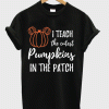 I teach the cutest pumpkin in the patch shirt