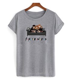 Hary Poter Friends Gray T shirt