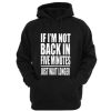 If I Am Not Back In 5 Minutes, Just Wait Longer hoodie qn