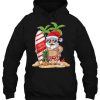 Merry Christmas Santa Claus Summer hoodie qn